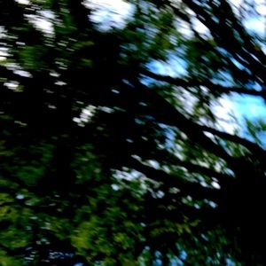 Meet your Posher, Phoebe